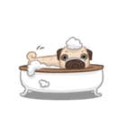 Dodo The Pug（個別スタンプ：16）