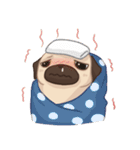 Dodo The Pug（個別スタンプ：19）