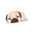 Dodo The Pug（個別スタンプ：30）