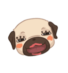 Dodo The Pug（個別スタンプ：34）