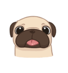 Dodo The Pug（個別スタンプ：37）