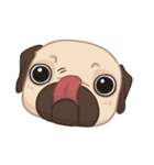 Dodo The Pug（個別スタンプ：39）