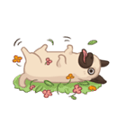 Dodo The Pug（個別スタンプ：40）