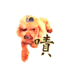 Zu is a lovely puddle（個別スタンプ：1）