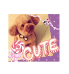 Zu is a lovely puddle（個別スタンプ：6）