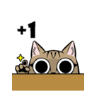 CAT BAGU（個別スタンプ：7）