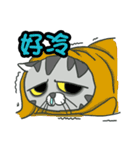 Shrimp meow（個別スタンプ：7）