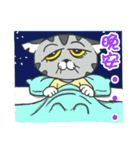 Shrimp meow（個別スタンプ：10）