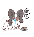 ぽて（個別スタンプ：11）