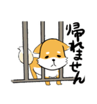 挟まる柴犬（個別スタンプ：22）