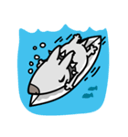 Shark Dog surf（個別スタンプ：7）