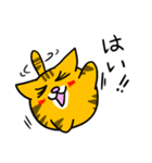 猫のしーくん（個別スタンプ：2）