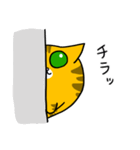 猫のしーくん（個別スタンプ：11）