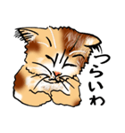 まったり関西オヤジ猫（個別スタンプ：5）