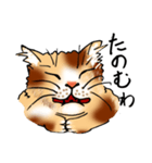 まったり関西オヤジ猫（個別スタンプ：7）