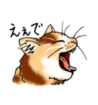 まったり関西オヤジ猫（個別スタンプ：8）