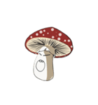 little mushrooms（個別スタンプ：13）