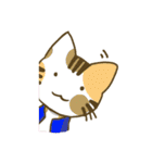 vest cat（個別スタンプ：16）