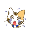 vest cat（個別スタンプ：17）