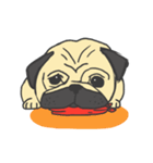 pugs so cute（個別スタンプ：4）