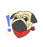 pugs so cute（個別スタンプ：7）