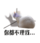 Soybean Milk！ A white cat with blue eyes（個別スタンプ：2）