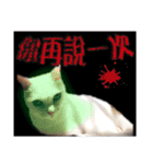 Soybean Milk！ A white cat with blue eyes（個別スタンプ：5）