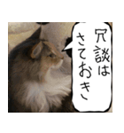 猫が代わりにお伝え その10（個別スタンプ：15）