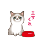 いたずら猫 100%（個別スタンプ：12）