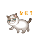 いたずら猫 100%（個別スタンプ：22）