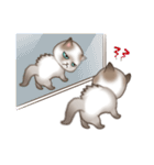 いたずら猫 100%（個別スタンプ：31）