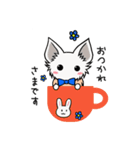 Chihuahuanko（個別スタンプ：5）