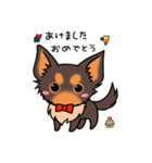 Chihuahuanko（個別スタンプ：36）