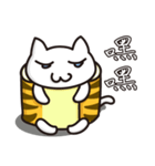 Tiger skin Roll Cat（個別スタンプ：1）