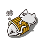 Tiger skin Roll Cat（個別スタンプ：16）