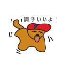 my dog life（個別スタンプ：8）