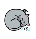 TheBlueCat（個別スタンプ：19）