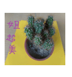 Savory cactus（個別スタンプ：5）