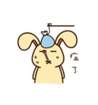 R. Rabbit daily（個別スタンプ：7）