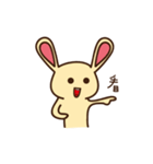 R. Rabbit daily（個別スタンプ：34）