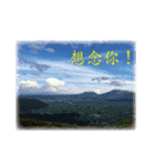 Say hello with the photo（個別スタンプ：13）
