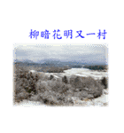 Say hello with the photo（個別スタンプ：16）