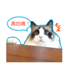 Fukushachou Photo Stickers（個別スタンプ：1）