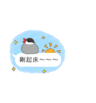 Speach bubbles of cute birds(Taiwan)（個別スタンプ：6）