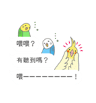 Speach bubbles of cute birds(Taiwan)（個別スタンプ：13）