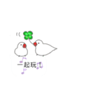 Speach bubbles of cute birds(Taiwan)（個別スタンプ：25）