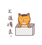 Uncle cat Network buzzwords（個別スタンプ：12）