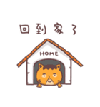 Uncle cat Network buzzwords（個別スタンプ：19）