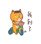 Uncle cat Network buzzwords（個別スタンプ：20）