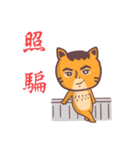 Uncle cat Network buzzwords（個別スタンプ：23）